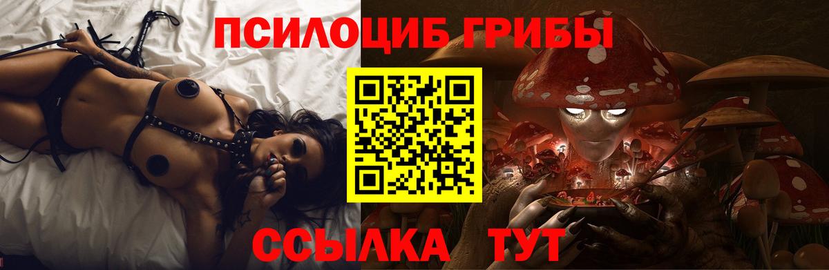 Галлюциногенные грибы Psilocybine cubensis  Вход с VPN  дарнет шоп  Качканар 